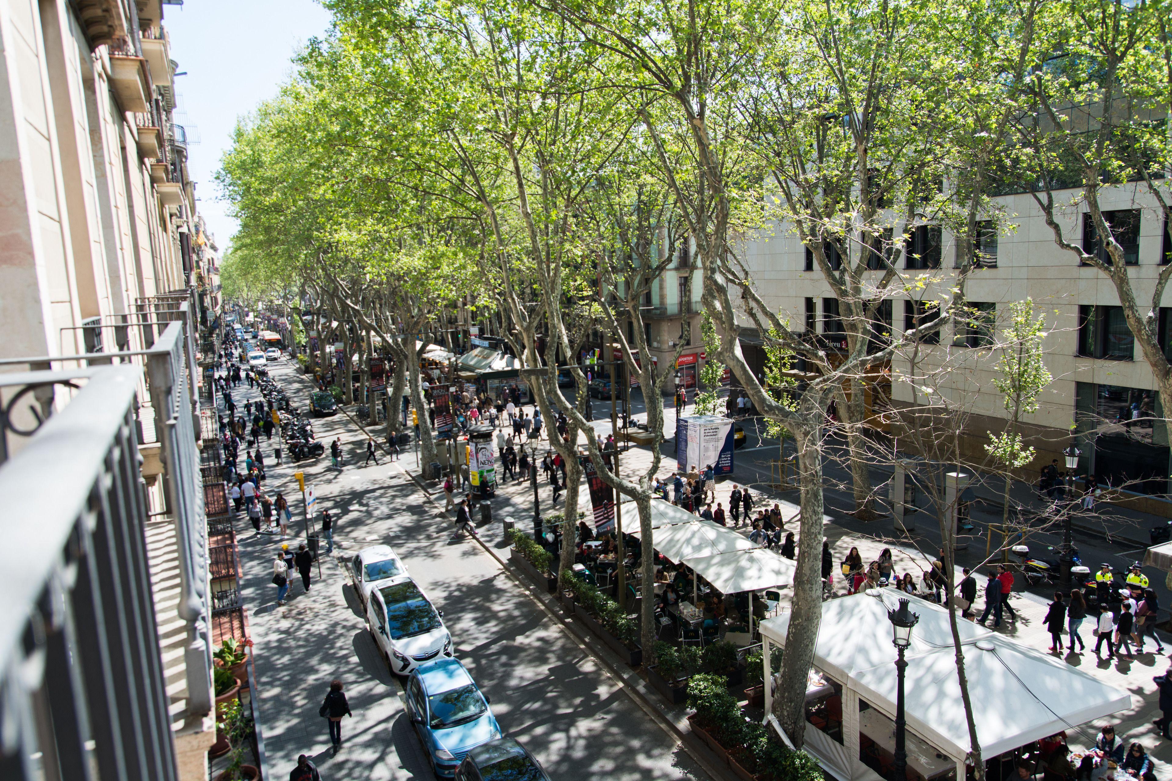 Flor Parks, Barcelona